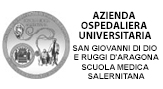 SAN GIOVANNI DI DIO E RUGGI D'ARAGONASCUOLA MEDICA SALERNITANA